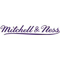 Shop Hornets Mitchell & Ness